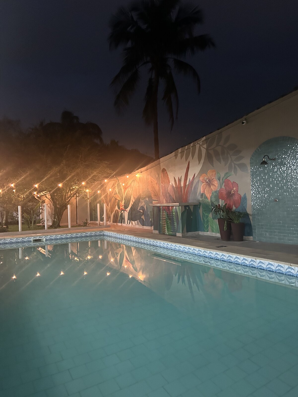 A piscina da Casa 2 à noite, com as luzes do varal refletindo na água.