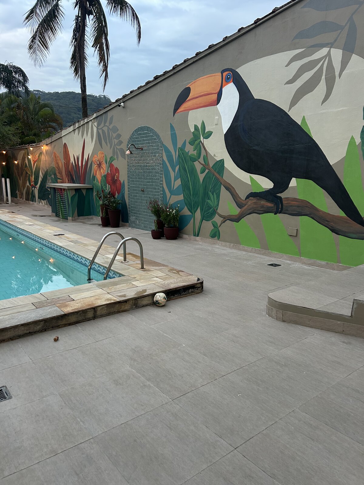 Piscina da Casa 2 em dia claro, com o tucano do mural pintado no muro e o deck em volta.